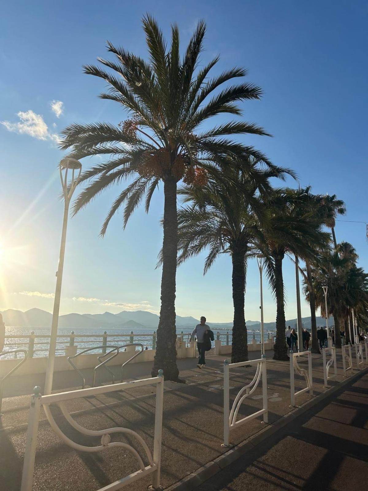 Apartment Cosy A 3 Min De La Avec Parking Prive Cannes